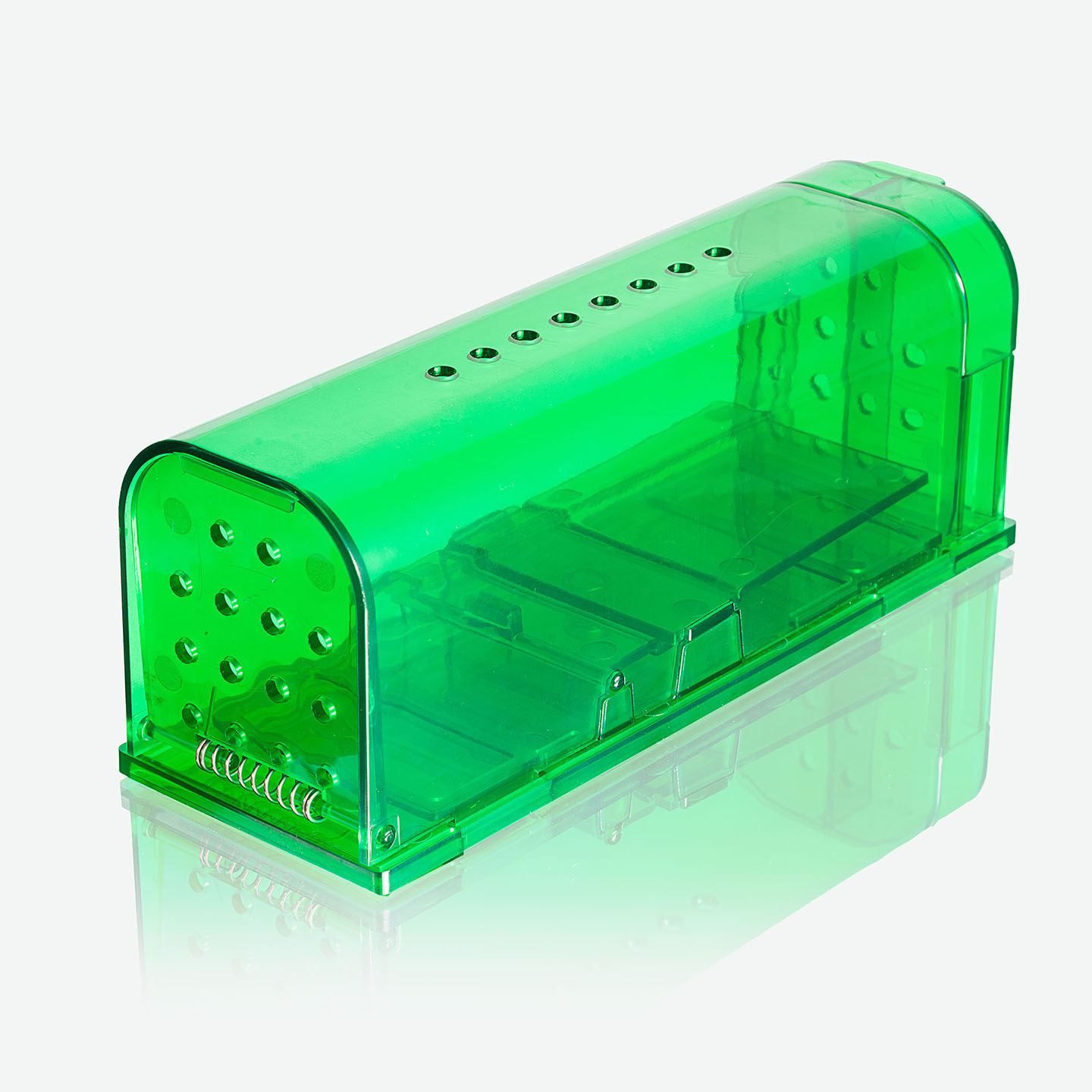 BEE Defender MouseTrap Amazon USA Fotoğraf Çekimi