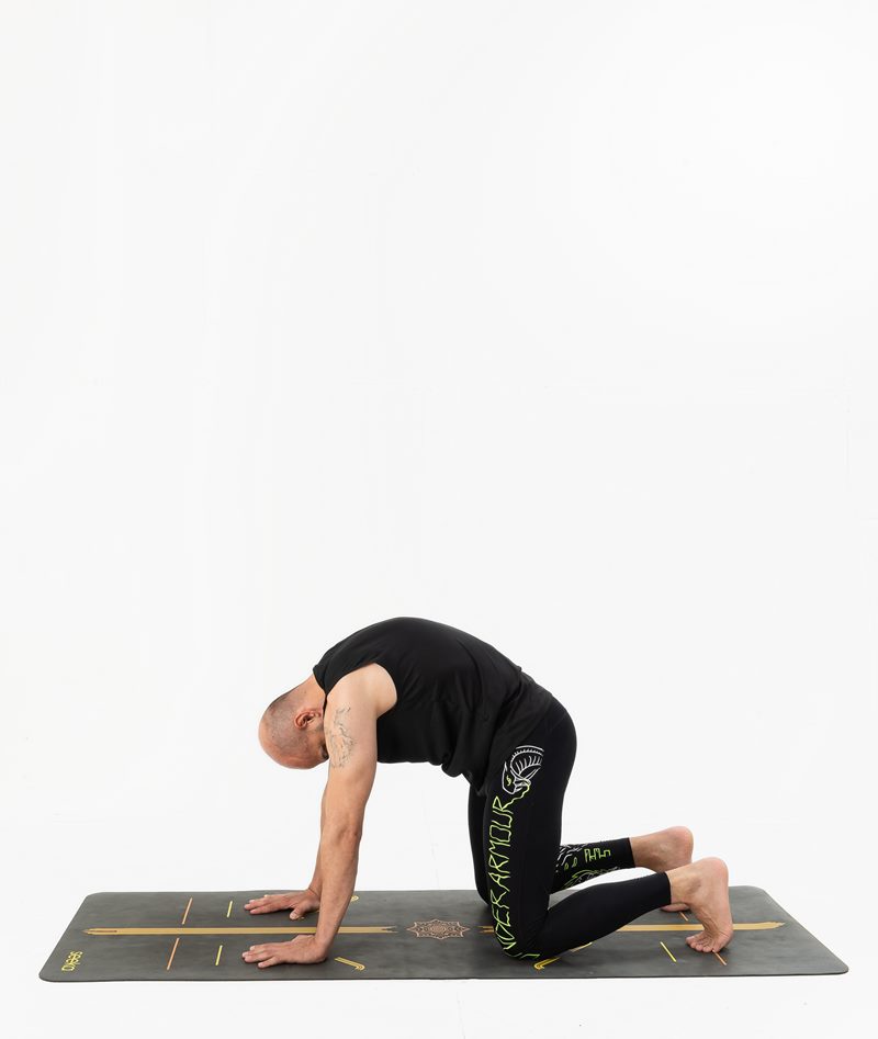 İzmir stüdyo ortamında erkek yoga eğitmeninin kedi duruşunda sırtını yuvarladığı Kentli Gurular yoga fotoğraf çekimi.